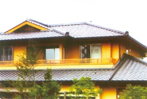 實(shí)驗(yàn)室搖擺制粒機(jī)